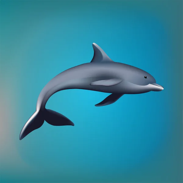 Delfino — Vettoriale Stock