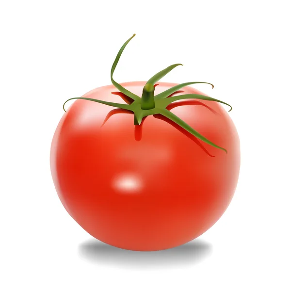 Tomate — Image vectorielle