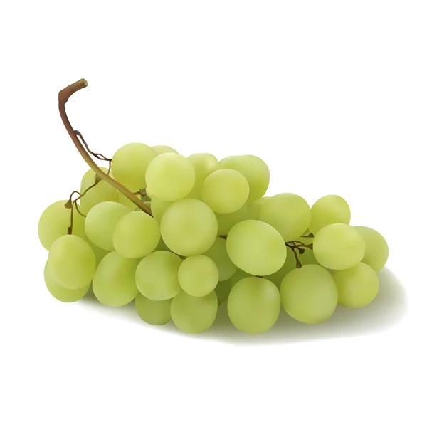 Uvas — Vetor de Stock