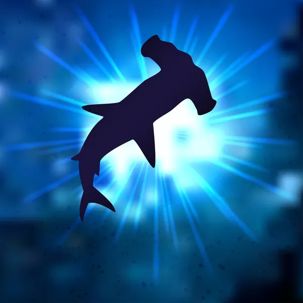 Tubarão-martelo — Vetor de Stock