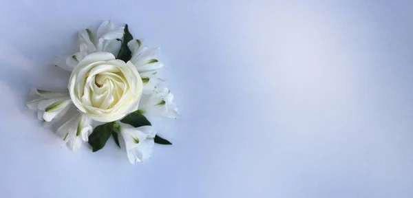 白色背景上的白花 花与白玫瑰的搭配是婚纱 贺卡的背景 — 图库照片