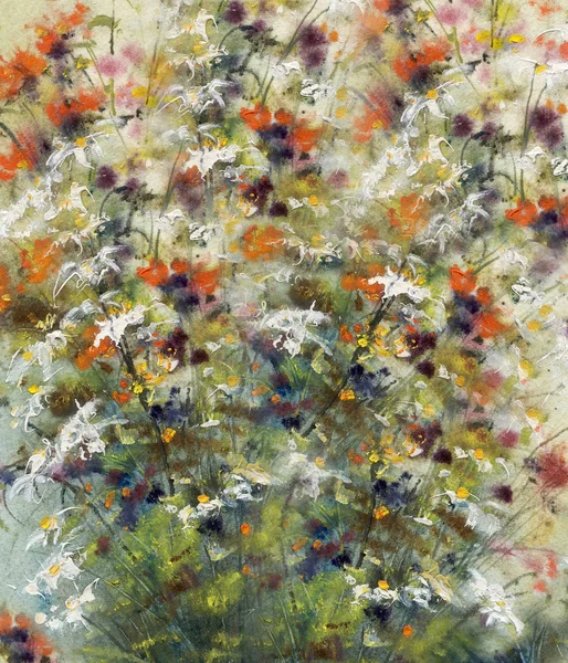 Άγριο λιβάδι λουλούδια, φόντο — Φωτογραφία Αρχείου
