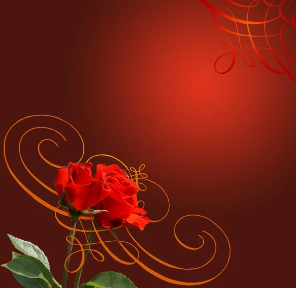 Rose, sfondo illustrazione — Foto Stock