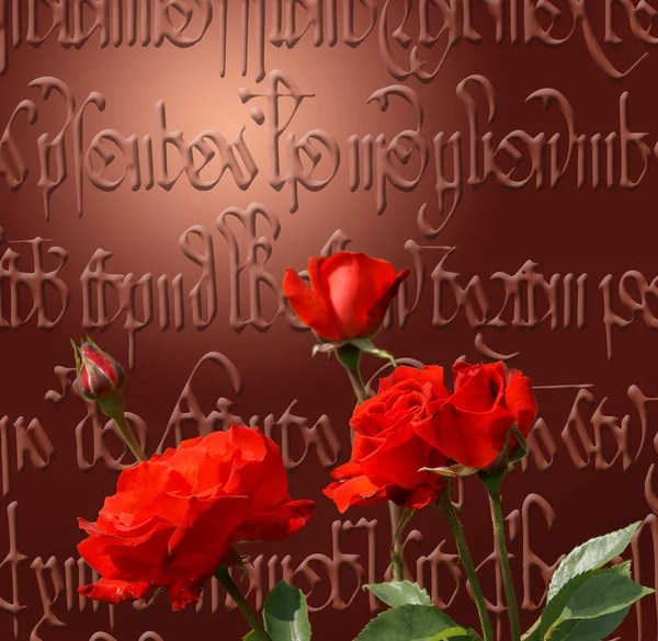Розы, иллюстрационный фон — стоковое фото