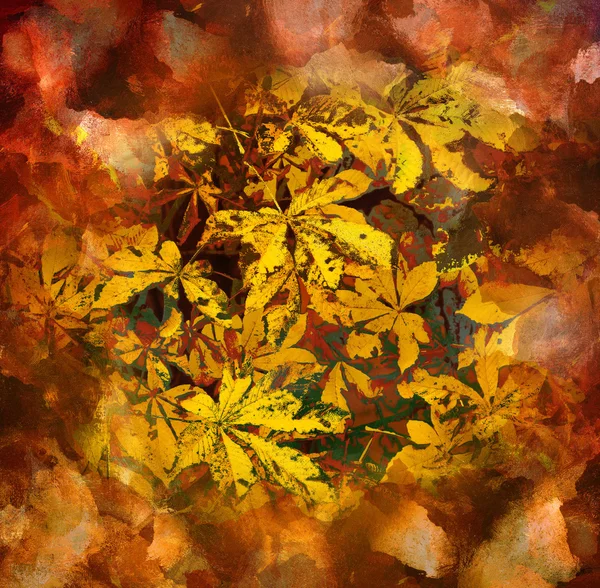 Artistic background with autumn motif — Stock Photo, Image