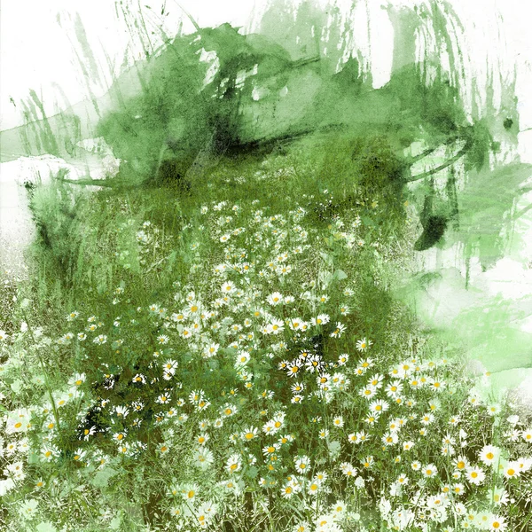 Flowers daisies, watercolor and mixed media — Stock Photo, Image