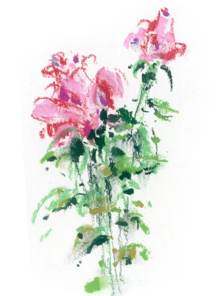 Δύο τριαντάφυλλα, εικονογράφηση, σχέδιο — Φωτογραφία Αρχείου