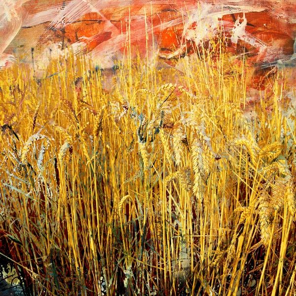 小麦抽象绘画的领域 — 图库照片