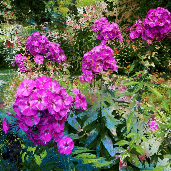 pembe çiçekli, arka plan Tema