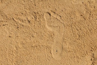 Sahilde kum tek iyi şekilli insan ayak izi