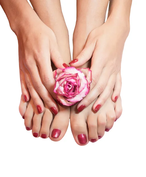 Beautiful legs, hands, flowers and petals isolated — Stock Photo, Image