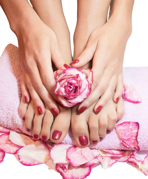 Beautiful legs, hands, flowers and petals — Stock Photo, Image