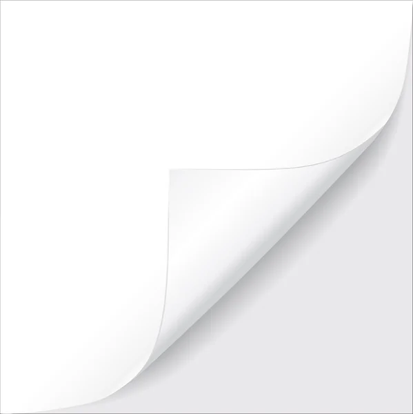 Bir parça kağıt. vektör çizim — Stok Vektör