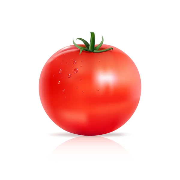 Tomate avec gouttes d'eau . — Image vectorielle