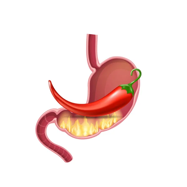 Estômago com fogo de pimenta vermelha —  Vetores de Stock