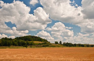 güneşli bir yaz günü şehir dışında