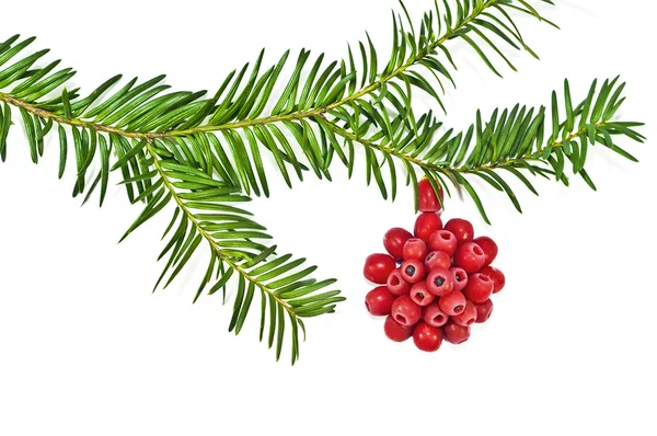 La decoración de Navidad con tejo de fruta roja sobre un fondo blanco — Foto de Stock