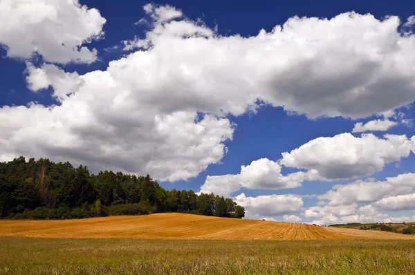 Paisagem rural com nuvens brancas no céu — Fotografia de Stock