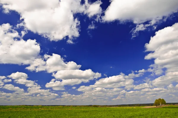 Krásná venkovská krajina s bílé mraky na obloze — Stock fotografie