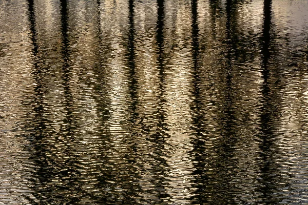 Reflejo Los Árboles Superficie Del Agua Ondulada —  Fotos de Stock