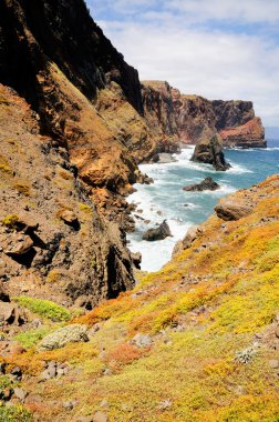 Madeira ponta rosto sahil yapmak