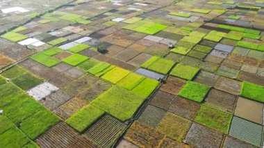 Tarımsal ve volkanik dağlarla ünlü Sembalun manzarası