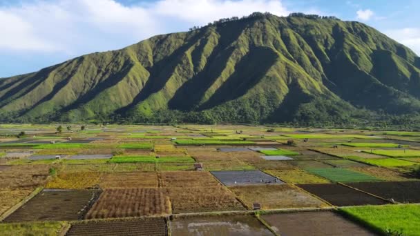 Pergasingan Tepesi Sembalun Köyü Mount Manzaralı Görüntüsü Rinjani — Stok video