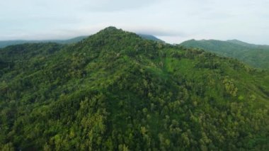 Sabah Green Hill Ormanı 'nın havadan görünüşü, Dünya için taze oksijen üreticisi....