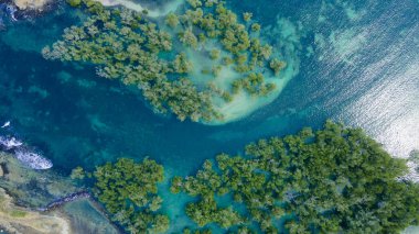 Mangrove ormanının hava manzarası, Mandalika çevresindeki deniz manzarası.