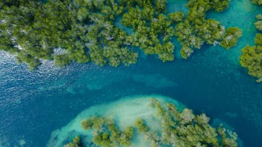 Mangrove ormanının hava manzarası, Mandalika çevresindeki deniz manzarası.