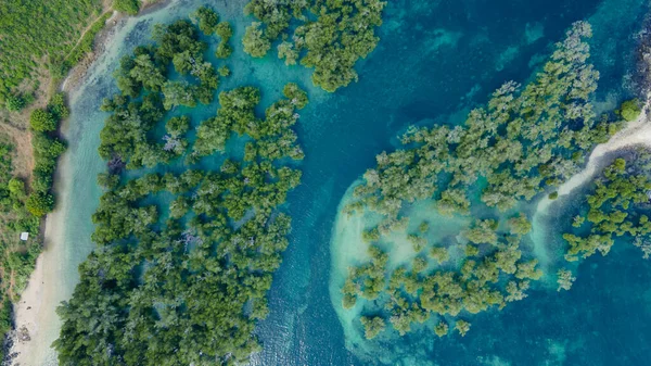 Aerial view of Mangrove forest, Mandalika surrounding area seascape aerial view