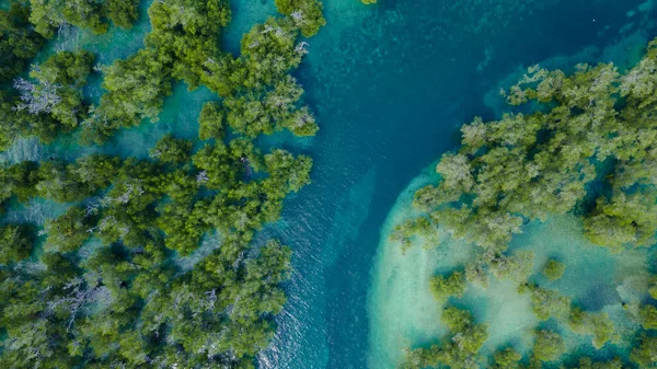 Mangrove ormanının hava manzarası, Mandalika çevresindeki deniz manzarası.