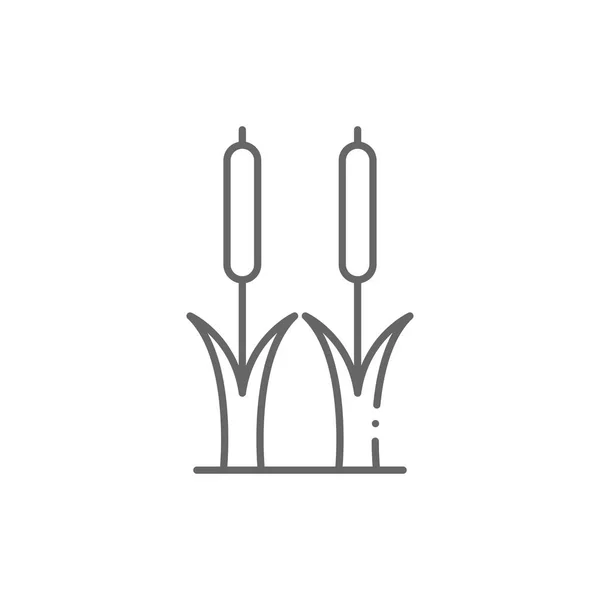 Schilfpflanzen Umreißen Das Symbol Lineares Stilschild Für Mobiles Konzept Und — Stockvektor