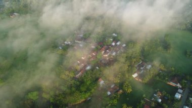 Aerial view, a view of rice fields and hills shrouded in mist in the morning in a village
