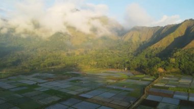 Köyün hava manzarası ve öğleden sonra tepelerle çevrili sisli pirinç tarlaları Sembalun Lombok köyünde yer alıyor.