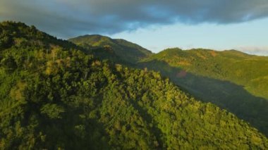 Gündoğumunda Endonezya 'daki Tropikal Orman Dağı' nın hava videosu