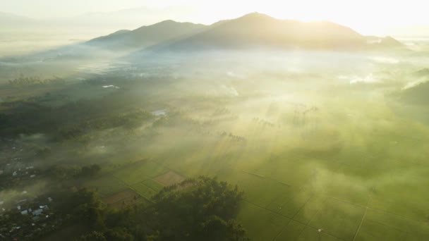 Film Lotu Ptaka Indonezji Rolnictwo Gruntów Podczas Wschodu Słońca Wzgórza — Wideo stockowe