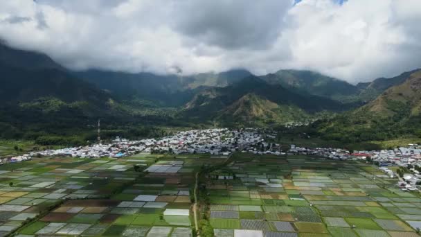 Aerial Video Agriculture Land Indonesia Surrounded Hill Daylight — Αρχείο Βίντεο