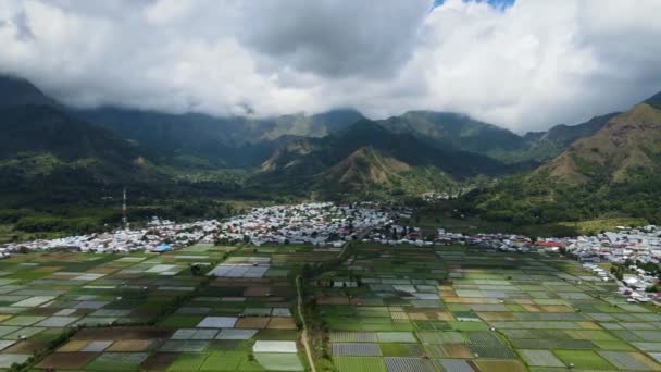 Aerial Video Agriculture Land Indonesia Surrounded Hill Daylight — Video Stock