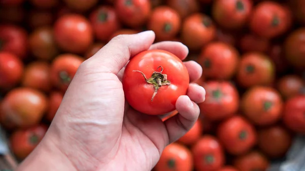 Top View Pile of hand holding Fresh red tomatoes background. Group of tomatoes in The Basket for Sale in The Vegetables Market of Bali, Indonesia