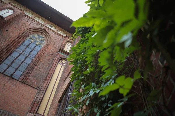 Katedral, kaliningrad, Rusya Federasyonu, Gotik tarzı, Immanuel kant,