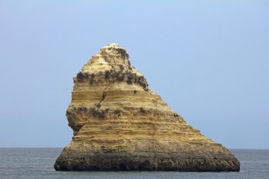 dev kaya