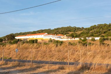 Kuru saman ve yeşil çam ağaçlarıyla çevrili dağda çiftlik ve üzüm bağları var.