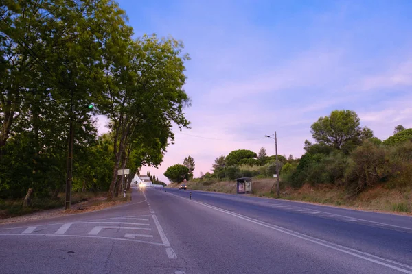 Dağda üç yönlü bir yol. Mor gökyüzü olan ağaçlarla çevrili. Çiy ışığında.