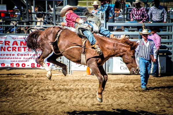 Rodeo — Foto Stock