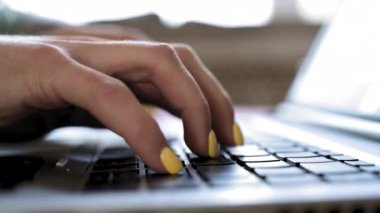 Kapatın. İnternette ofis güneşinde tuşlara yazı yazan kadın elleri. Kaydırma kamerası