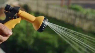Bahçeyi yaz bahçesinde su hortumuyla sulamak, yeşil bitkiler, çimenler ve çiçekler