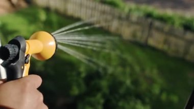 Bahçeyi yaz bahçesinde su hortumuyla sulamak, yeşil bitkiler, çimenler ve çiçekler, yakın plan, 4k