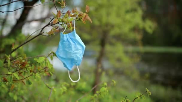 Χαριτωμένο κουτάβι dachshund καθαρίζει σκουπίδια στο πάρκο ή στο δάσος, αφαιρεί τη χρησιμοποιημένη ιατρική μάσκα από τον κλάδο του θάμνου, κοντά, Κρίσιμο παγκόσμιο πρόβλημα διαχείρισης αποβλήτων κατά τη διάρκεια πανδημίας — Αρχείο Βίντεο