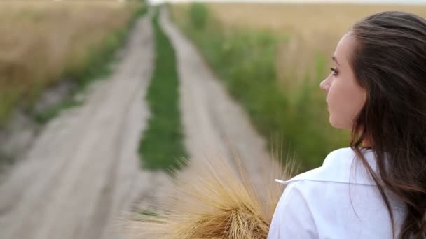 Молода жінка торкається пшеничних вух на світанку, знімає ляльку, SLOW MOTION 4K, Щаслива дівчина біжить рукою через пшеничне поле, Сунь лінзує полум'я, концепцію доброго врожаю, кінематографічний ранковий постріл, зблизька — стокове відео